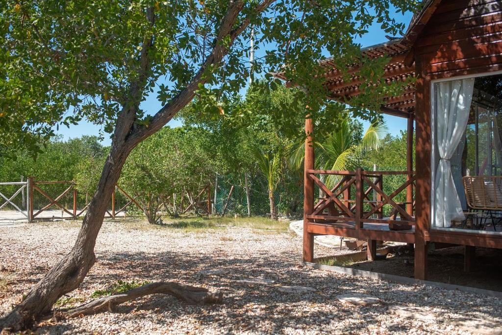 Casa Calamar Isola Holbox Esterno foto